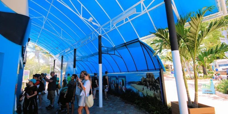 Custom Canopy - Miami Seaquarium Penguin Isle - Miami, FL
