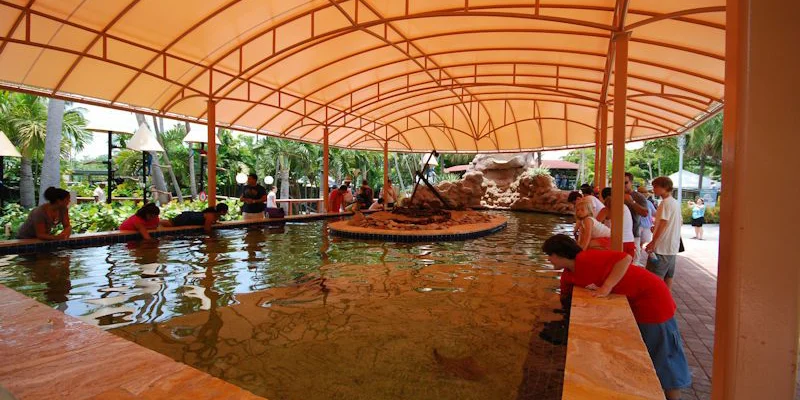 Touch Tank Custom Canopy - Miami Seaquarium - Miami, FL